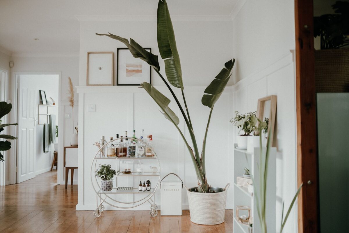 Meuble bar : 6 types de bars pour la maison et leurs prix